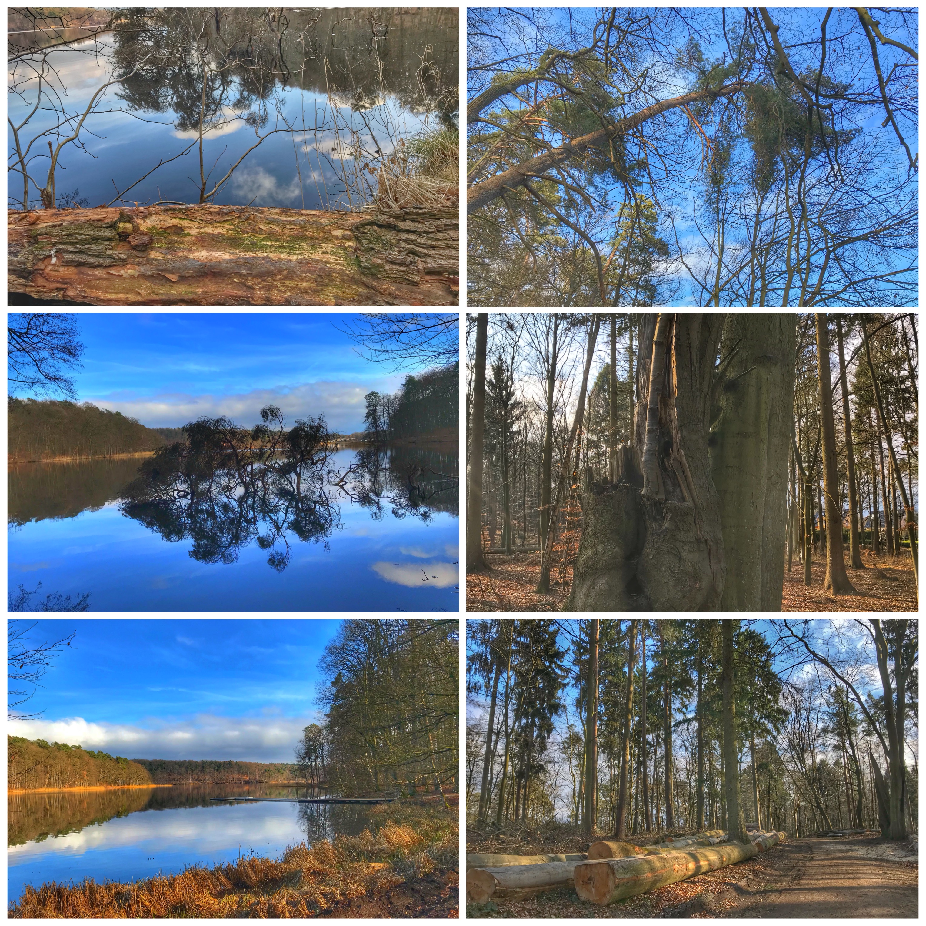 3F753614-CD50-412F-8E40-D28CA0BBC83B